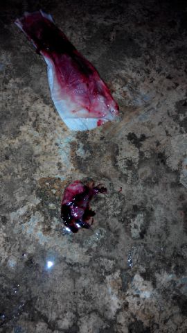 kosmetik97's tweet photo. Jual obat aborsi asli cytotec penggugur kandungan .Call: 087733933711 / pin: D16B70DE. https://t.co/4hjTukGcjT https://t.co/ct5yIL8ifK