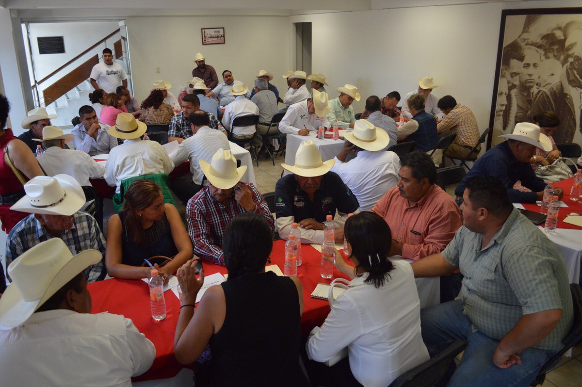 CNC_Durango's tweet photo. Con cinco puntos temáticos, se llevan acabo las mesas de trabajo del Congreso Estatal Agrario #RumboAlCongreso78 https://t.co/2CAIXQAswp