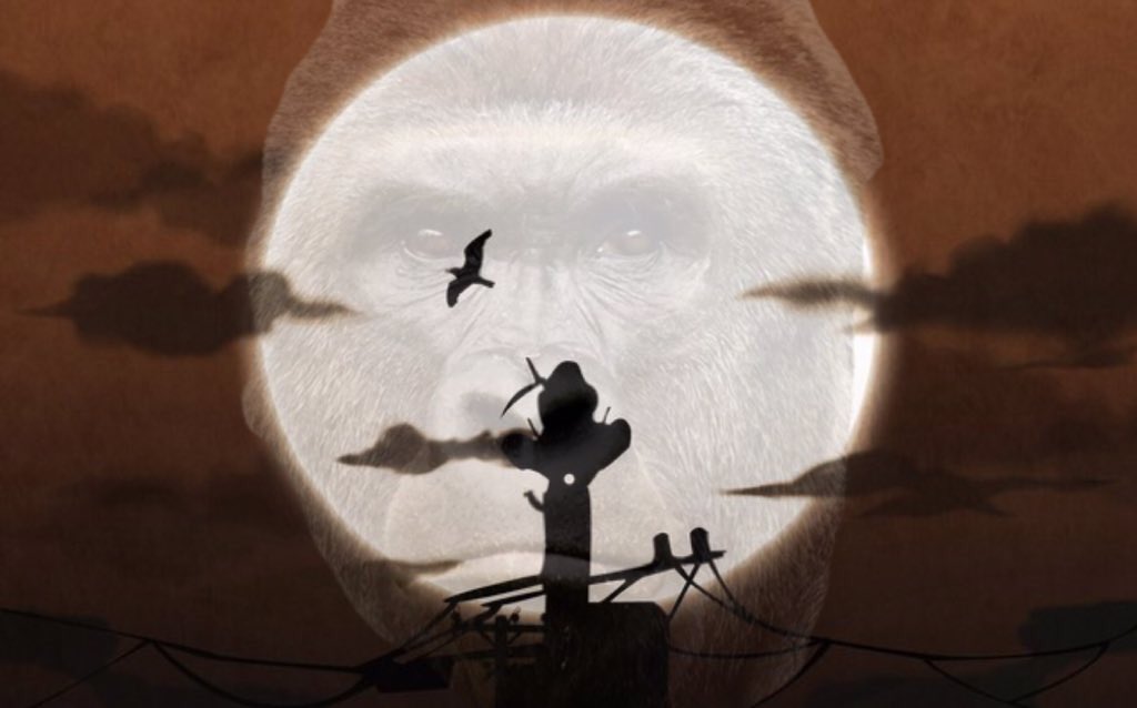 When itachi finds out the uchiha killed harambe😂😂