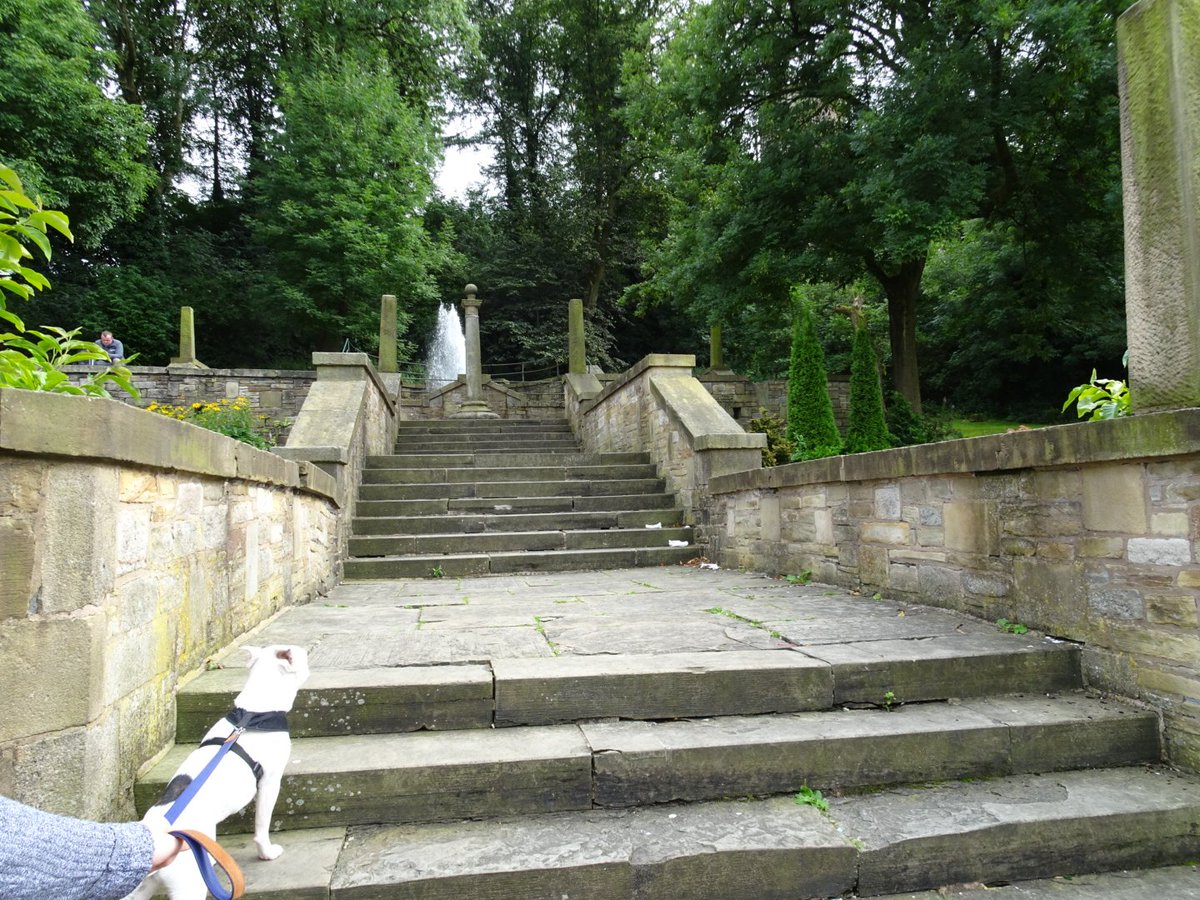 shutter_buggers's tweet image. Introducing @YolkTheDog to Rochdale and the old bridge.