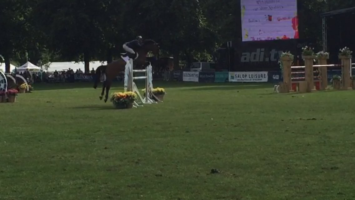 Zira qualifying for foxhunter final <a href="/hoystweet/">Horse of the Year Show</a>, and Chinook taking 2nd place in the Grand Prix @shrewsburyflowershow
