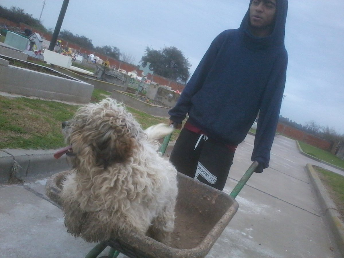 DiazGoy's tweet photo. Leoo Pasiando Ah Flipper :D https://t.co/rb3NxOEn7N