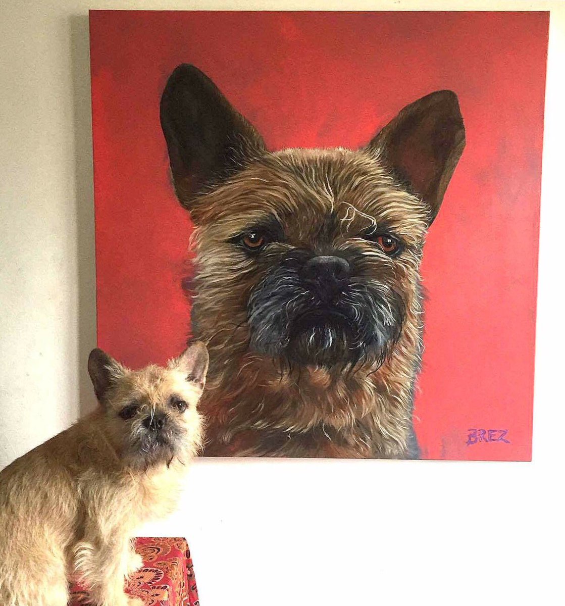 AdamsPortraits's tweet photo. @DogOneGrooming a photo with the subject! #dog #petportraits #modernart ##portrait #realism please RT https://t.co/Favpw9k7nE