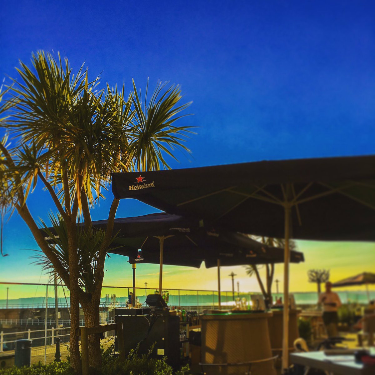 mcpalms's tweet photo. Dinner with the family overlooking the harbour & the sunset #sunset #harbour #raddisson #islandlife #palmtrees #bar https://t.co/Jj9ZsPdapZ