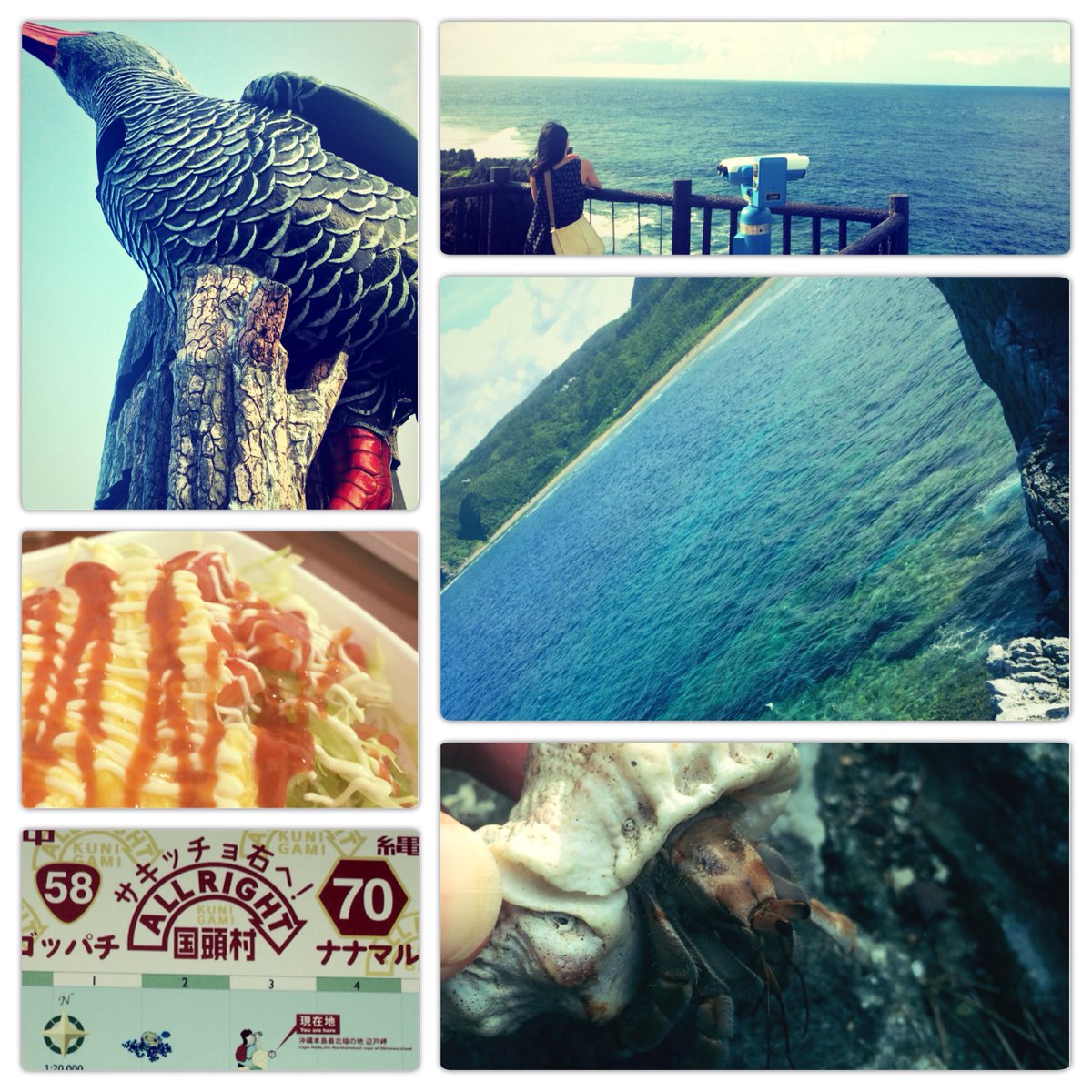 kassssool's tweet image. #zu3 初沖縄最北端の旅

#辺戸岬 #ヤンバルクイナ展望台 #やどかり #オムタコライス #浜比嘉島 #自己申告制ガソスタ #テラハ乗り #陸しーじゃー