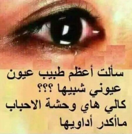 جنت شاب بشبابي شاب.. ..من شاب
وحرك كلبي لهيب العشك....من شاب
تعال وشوف هسه الراس ...من شاب
تبجي مرايتي من اصفن عليه