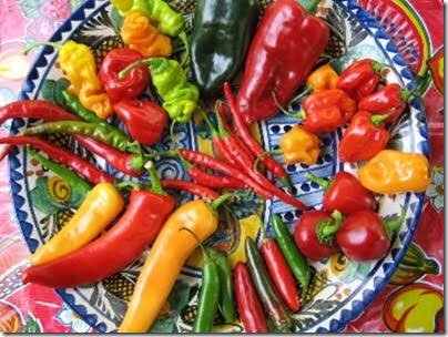 Mexican cuisine is part of their culinary traditions, derived both from the Meso, European cuisine, among others.