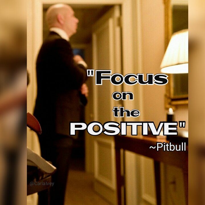 mild_takes's tweet photo. #dalé RT @msellisa: RT @CarlaIvey: "Focus on the positive." ~ @pitbull #PitbullQuoteOfTheDay #motivation #ThinkPos… https://t.co/Au4GysBpmf
