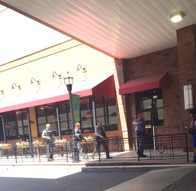 View image on Twitter