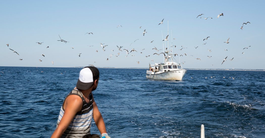 SpendRight, Inc. tweet media