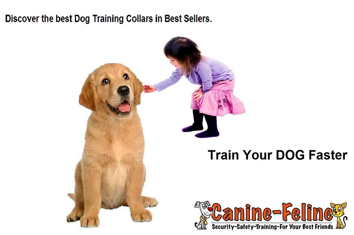 CanineFeline2's tweet photo. Train your #Dog Faster with @CanineFeline2 . https://t.co/1R3aOfHUH4
@DogTrainAdvicex https://t.co/PILQ12YmQu