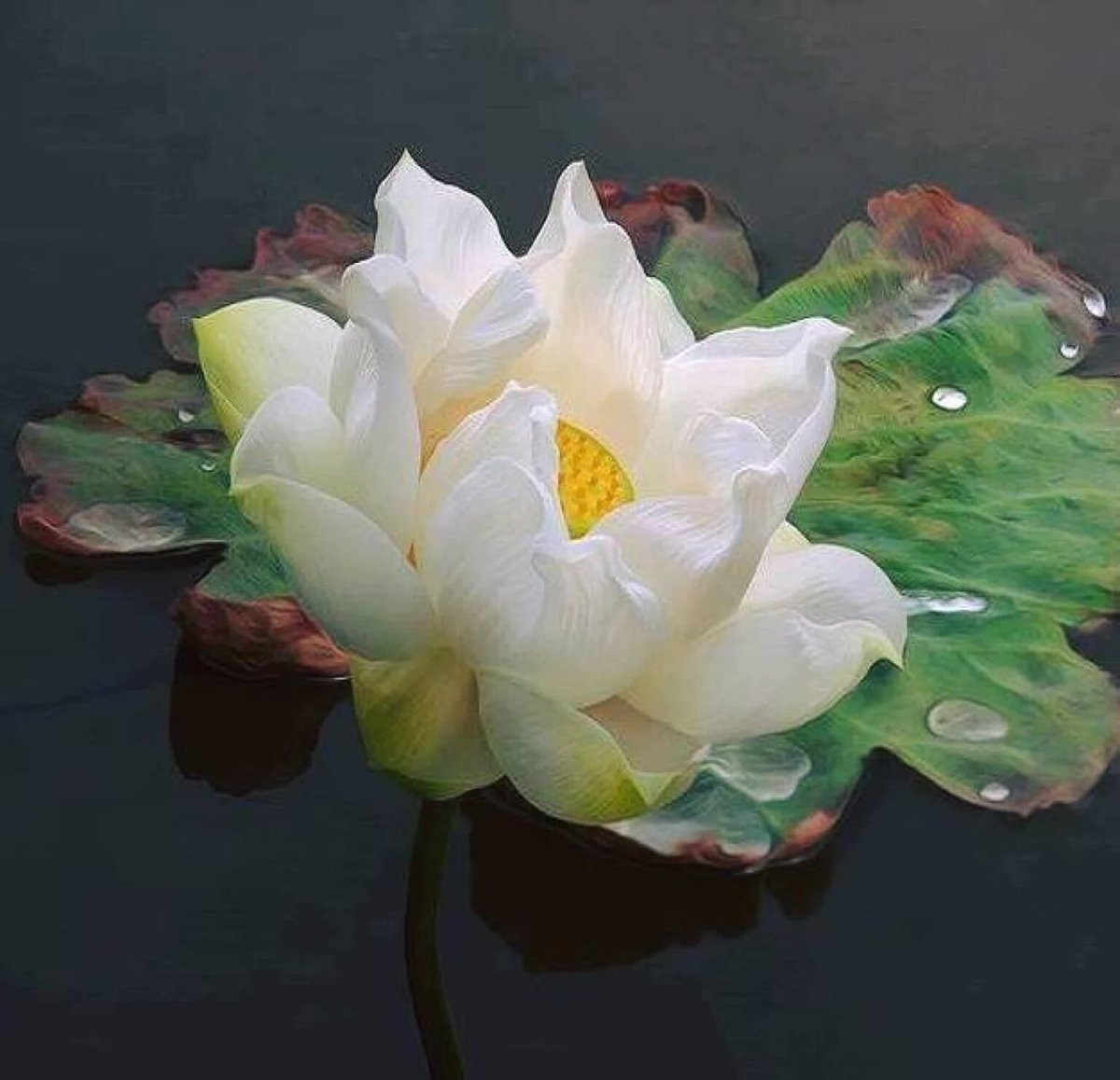 @DaaD01 <a href="/bobbygreyone/">Tracy Harris</a> <a href="/layebin/">Abdoulaye Sall</a> <a href="/val_fina/">Fina Val</a> <a href="/hennen35/">Hennen Silblak</a> @MsHardlanding2 @MonSitePhotos <a href="/alina/">alina</a> <a href="/dosik563121/">❤️VALENTINA❤️</a>