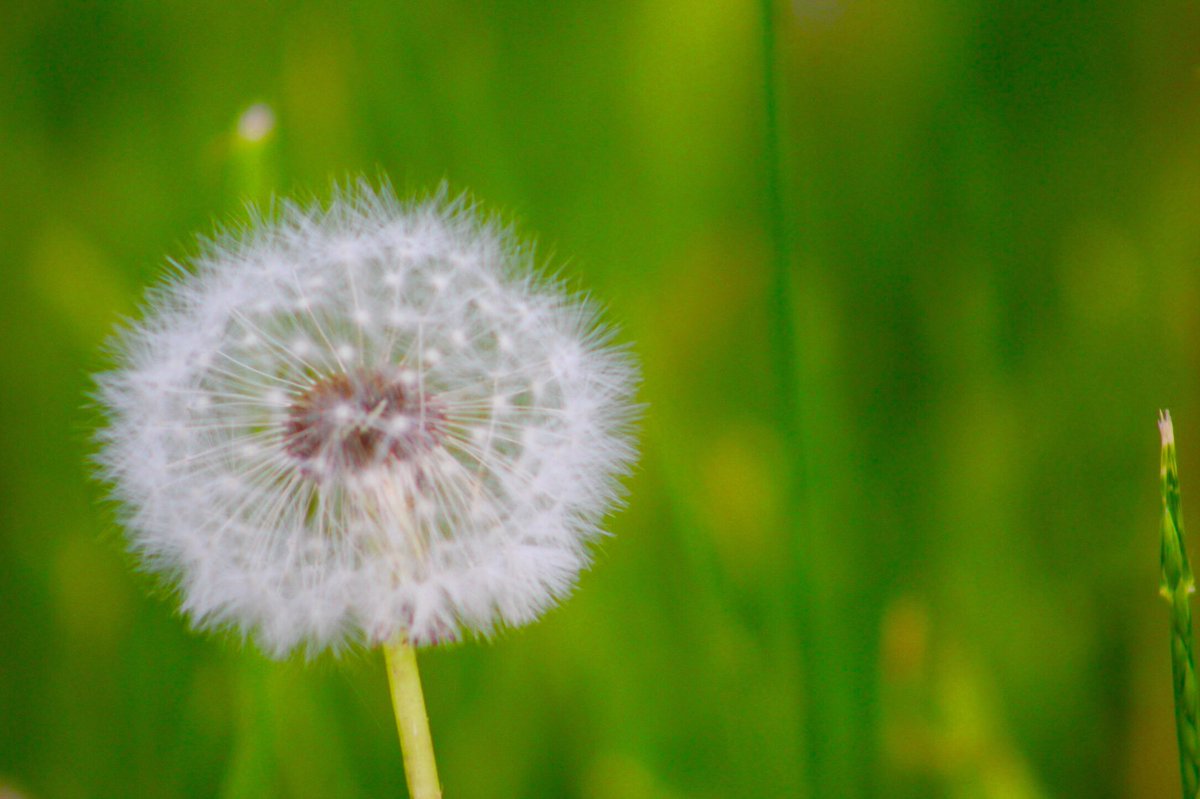 Paige Thorne (@paigethorne1) on Twitter photo 