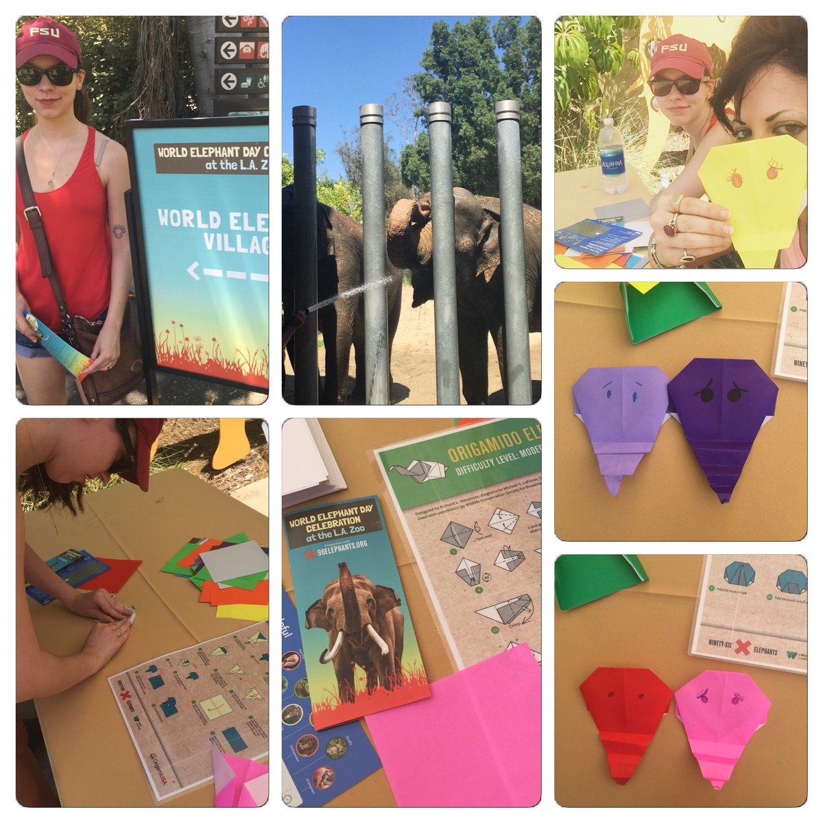 psirulehpro's tweet image. Had the best time being part of the #ElephantOrigamiChallenge w/ @SarahJoProvost at the @LAZoo #Elphie #JoinTheHerd