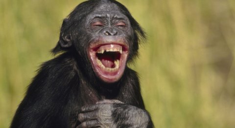jsbournival's tweet image. Jesse Marsh en ce moment. #imfc #proreferee #mls