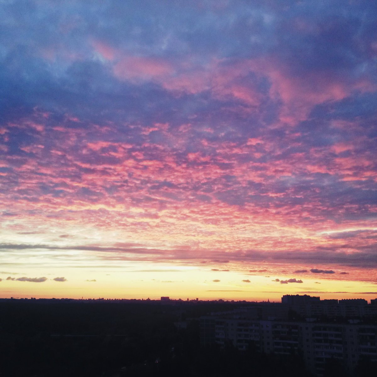Dashka_RDL's tweet photo. Моя маленькая победа https://t.co/hVrV0ulhqh