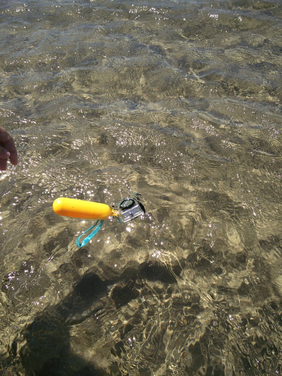 hangry_stories's tweet photo. Heute viel Spaß mit der Action Cam im Meer gehabt (nachdem es in Japan wegen Wetter nicht klappte xD) #TeamBari https://t.co/BmlSqDrgUF
