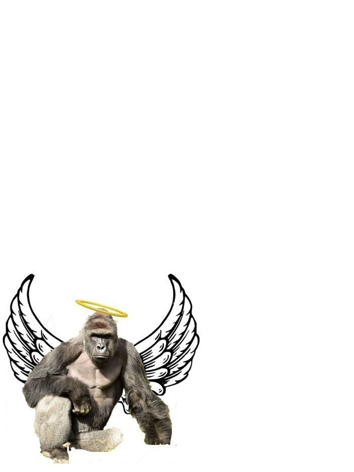CauseWereGuys's tweet photo. Open then swipe up to send Harambe to heaven. https://t.co/bFRWmwHsTy