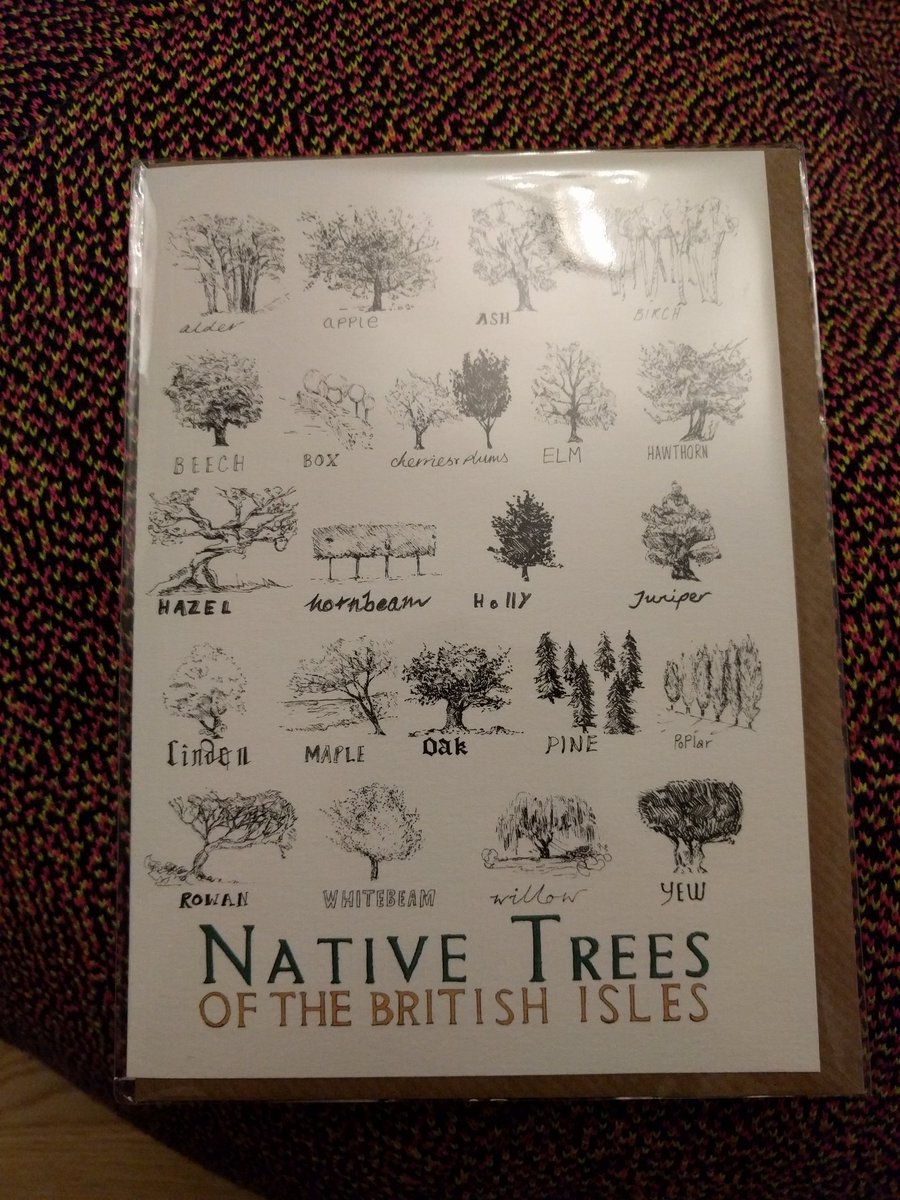 TGHB83's tweet photo. @edmathison not enough cards on the market with a tree theme I think. This one is the first I've seen. https://t.co/we7nQFBwgE