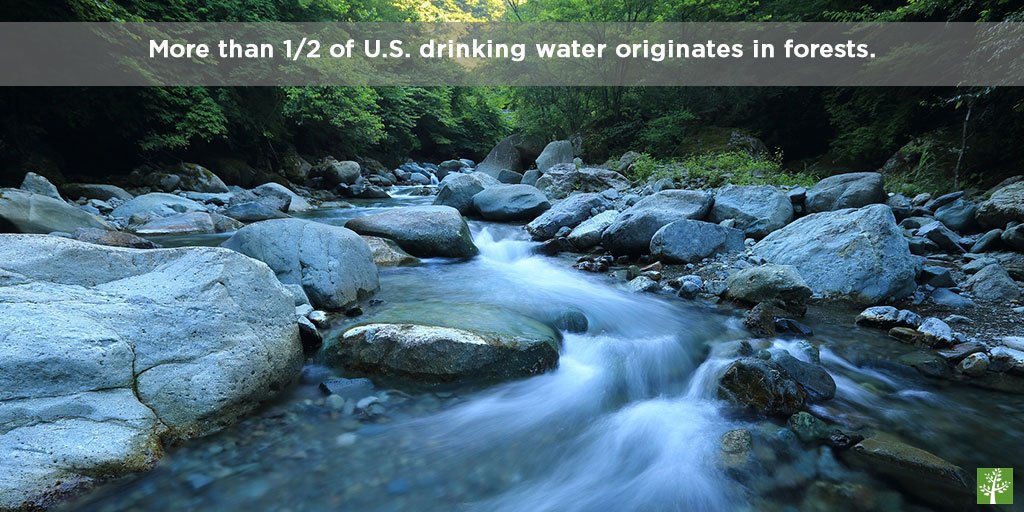 AmericanForests's tweet photo. It's hot out this weekend! Stay hydrated and drink some #water! And, thank #forests for it while you're at it! https://t.co/iIwVdLw8Pq