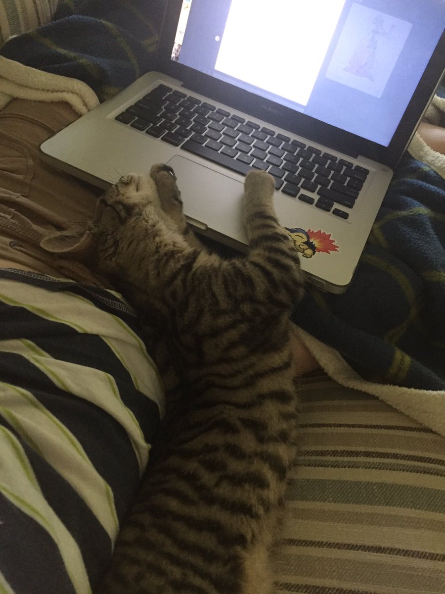 anxklusmos's tweet photo. Why is it always this when I'm finally feeling motivated #cat #kitten https://t.co/g8klCHb9r8
