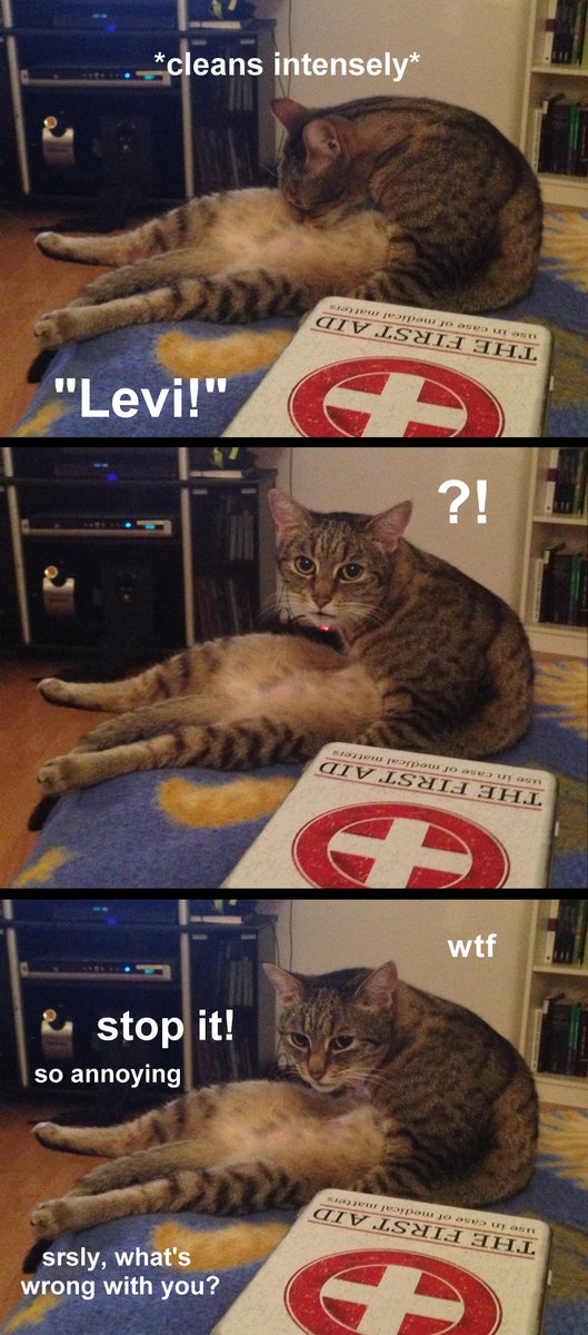 phateless's tweet photo. ahahahaha well
#CatsOfTwitter #Caturday #LeviTheCat https://t.co/RIyDU1GEs9