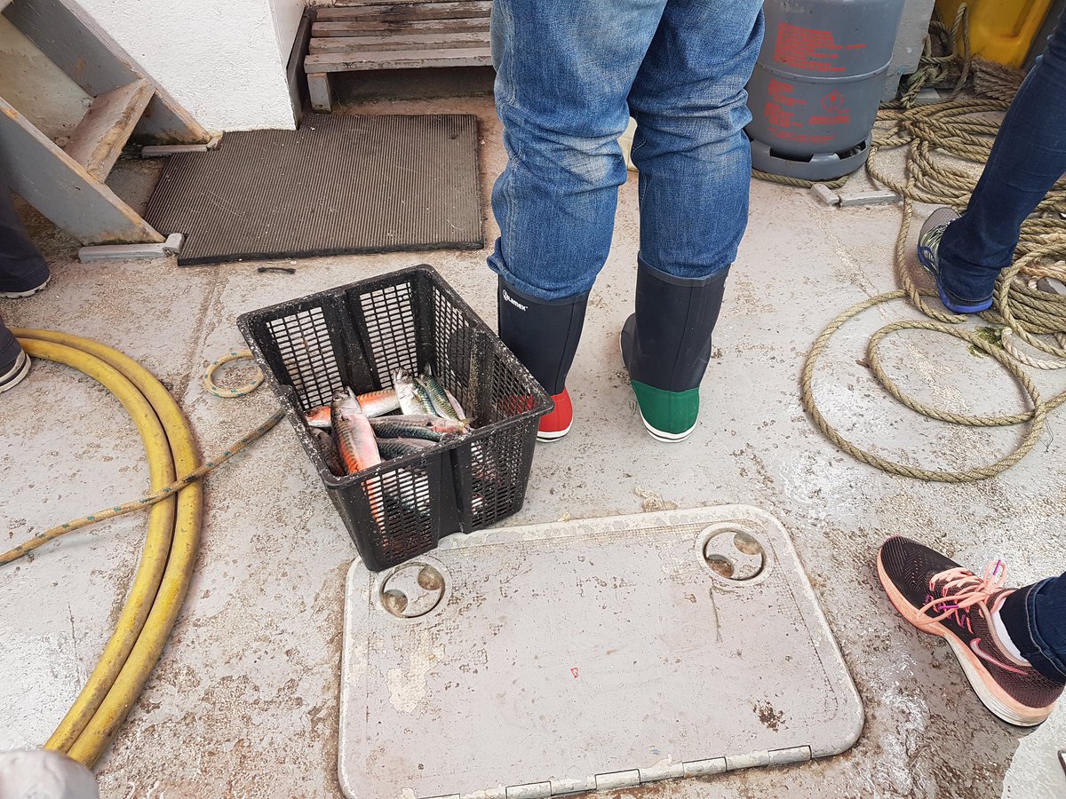 sbhowthcastle's tweet photo. Loving the new boots! D.Doyle our fisherman https://t.co/GLA5QKHXEC