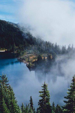 TikTonks's tweet image. Dreaming of paradise 😌🌲🗻