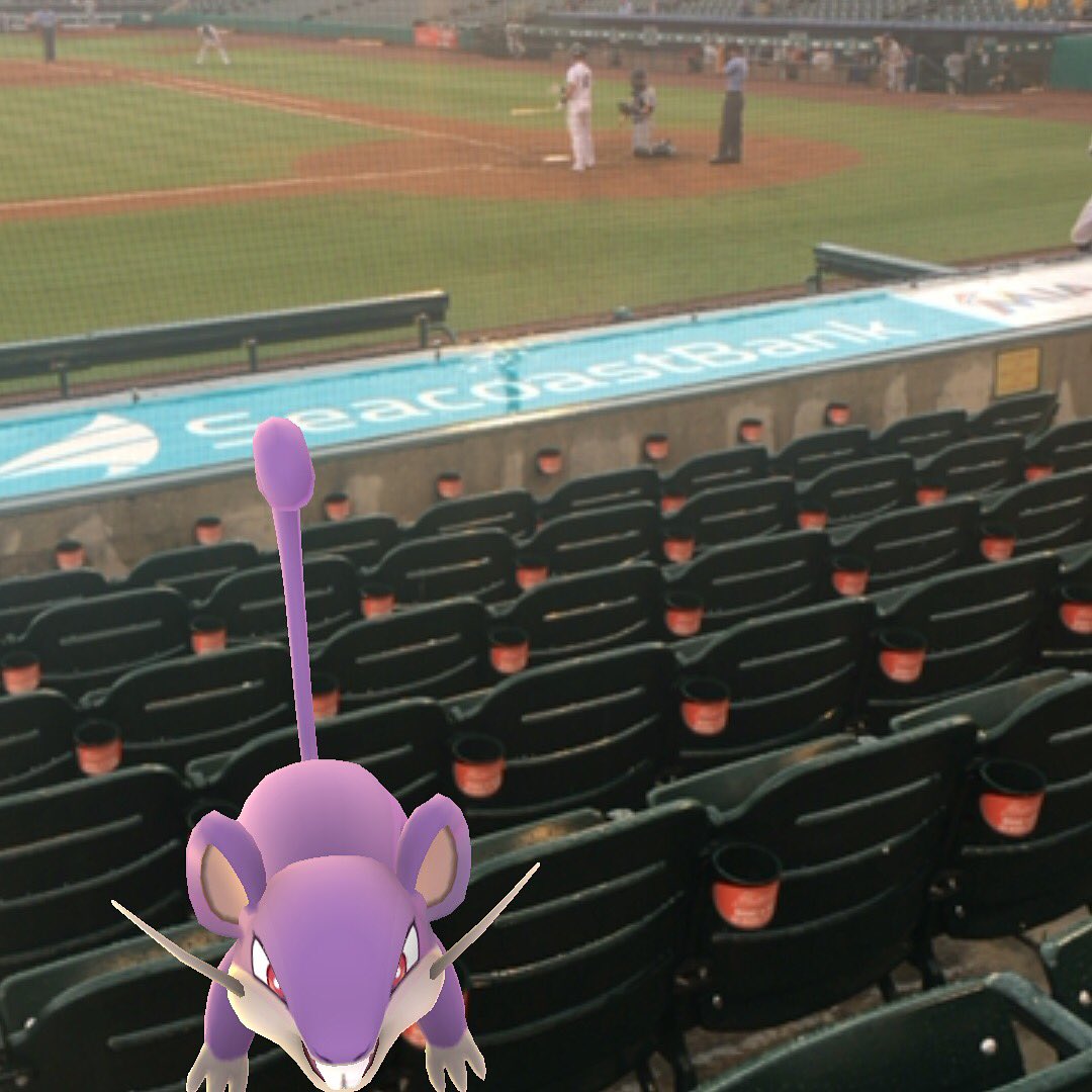 PokemonGOPiks's tweet photo. Look who we spotted at the baseball game! Send us your Pokemon photos using the #PokemonGoPiks! ⚾️🐭#baseballgame https://t.co/yJbM4Z9al6