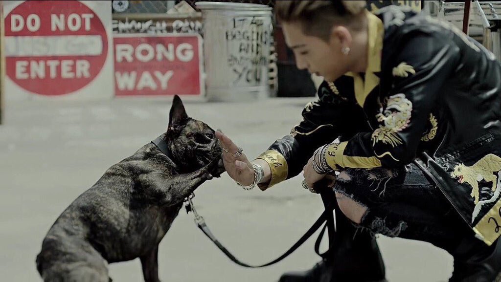 bigbang_GDG's tweet photo. ジヨンとタプさん成功させたので！💞
びっぺんさん力貸してください😎

#ヨンベのセンイルまでに518RT
#ヨンベのセンイルまでに518RT
#びっぺんさんと繋がりたい 
#RTした人全員お迎え 
#BIGBANG https://t.co/egczRL0s1w