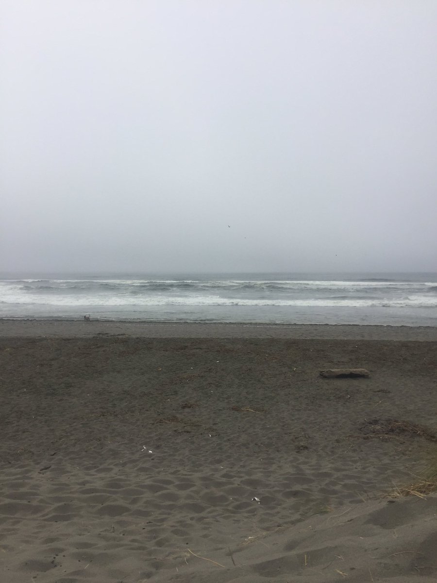 mikaylaa7's tweet photo. This + headspace. #heaven ✨🌊🙌🏼 https://t.co/VOc6lRwymi
