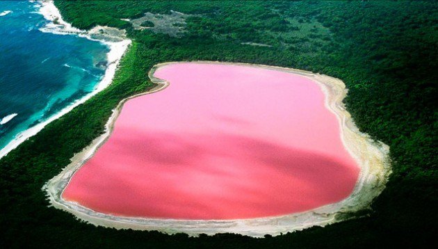 World Class Facts tweet media