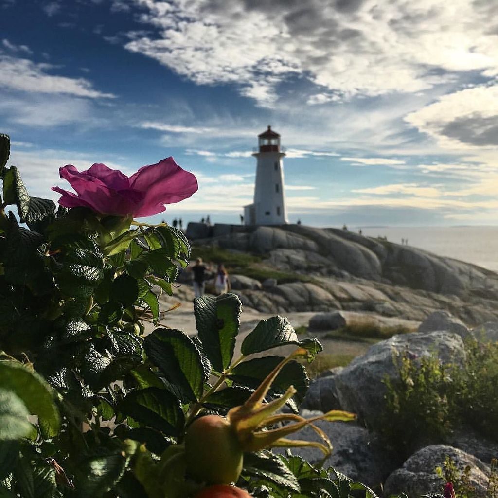 halifaxnoise's tweet photo. from @halifaxlogan — A perfect Nova Scotian summer evening.
#canadiancollective #snapshot… https://t.co/eJP0pm5wcl https://t.co/Y3uQvVyEaF