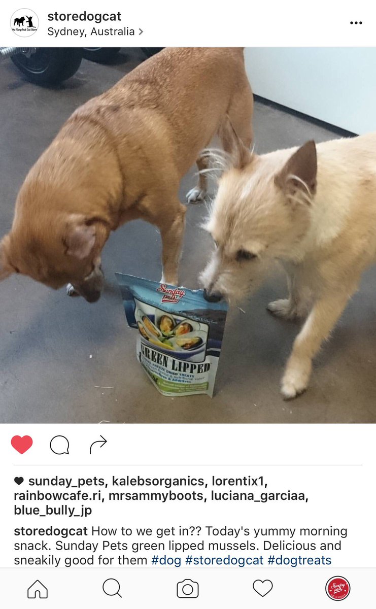SundayPets's tweet photo. https://t.co/DLscgho77q https://t.co/oUTsy1kGb4