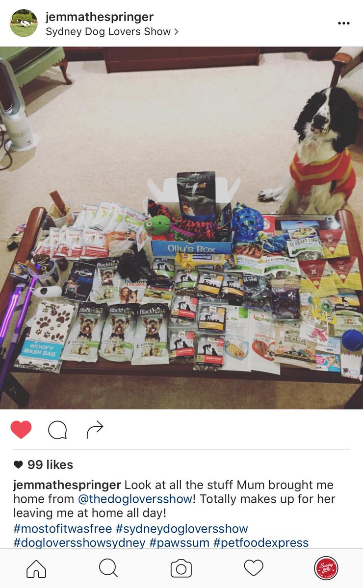 SundayPets's tweet photo. https://t.co/5dnbFCmpWZ https://t.co/rVSA6zFedY