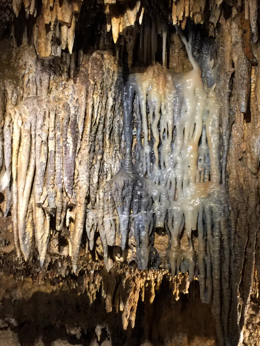 lbuster2's tweet image. 