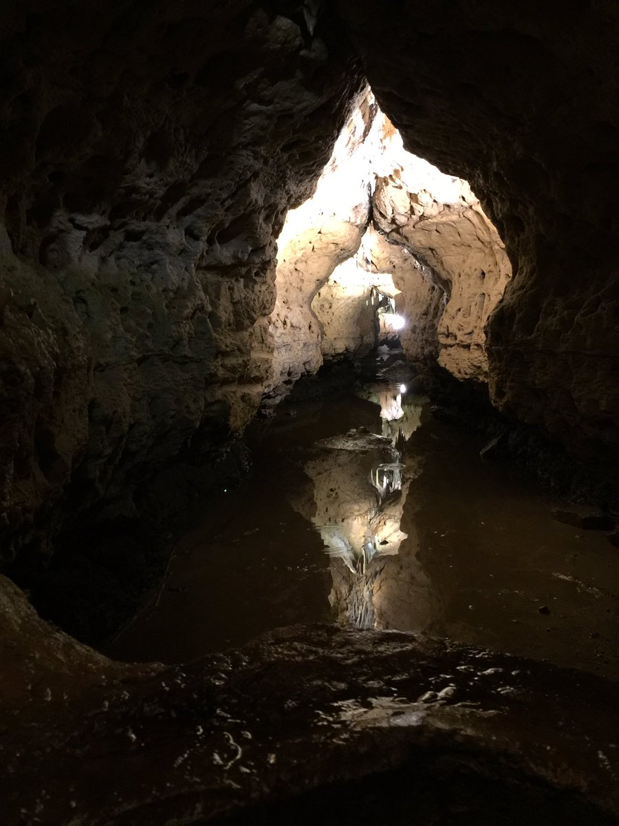 lbuster2's tweet image. 