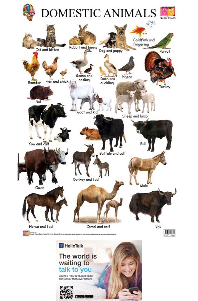 atherEdmark's tweet image. #HelloTalk – شبكة مجتمعية لتعلم الغة وتبادلها مع متحدثيين أصليين. 
brc.hellotalk.com/4Jdc/VTtgnXfPOv