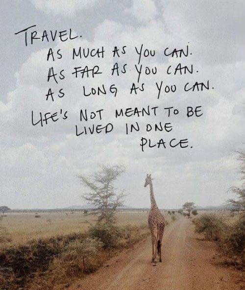 Manuela (@manu_salda) on Twitter photo 