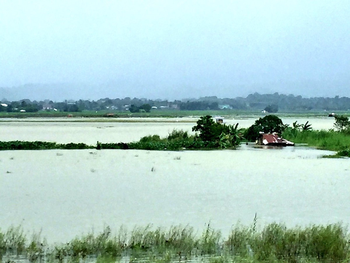 Submerged Rice LOOK: Rice fields in Dinalupihan, Bataan submerged in floodwater. | via ...