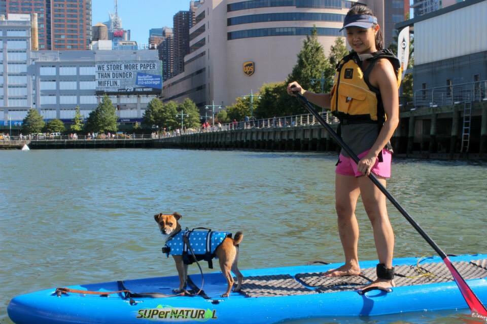 Learn to stand up paddle with your dog: For beginners. Wed 8/17 6:30 at W44 &amp; the Hudson  facebook.com/events/2282186…