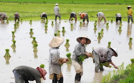 UNDP's tweet photo. Ending #poverty requires economic growth which is inclusive &amp; #sustainable - @HelenClarkUNDP #Goal1 https://t.co/u6odai0GSJ