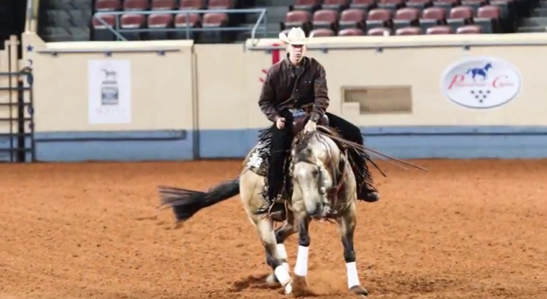 AQHYA's tweet photo. Watch Surprizentheprincess and Jack Medows win reining at @FordTrucks #AQHYAWorld. ➡https://t.co/dO6EKtTpky https://t.co/FFR5yIa6il