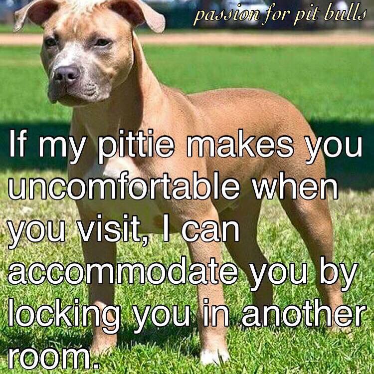 thepamsullivan's tweet photo. If my #PitBull makes you uncomfortable, I can accommodate by locking you in another room😂 #EndBSL #Dogs #Buddy2016🐾 https://t.co/oNsATZaFMr