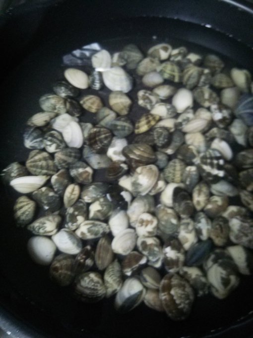 あさり 高画質 のtwitterイラスト検索結果 古い順