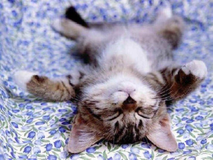 Coach_F_Spivey's tweet photo. How ya feel after ladder drills and routes with @PresonW #CallAMedic #AlmostBarfed https://t.co/Y2klMLGKA7
