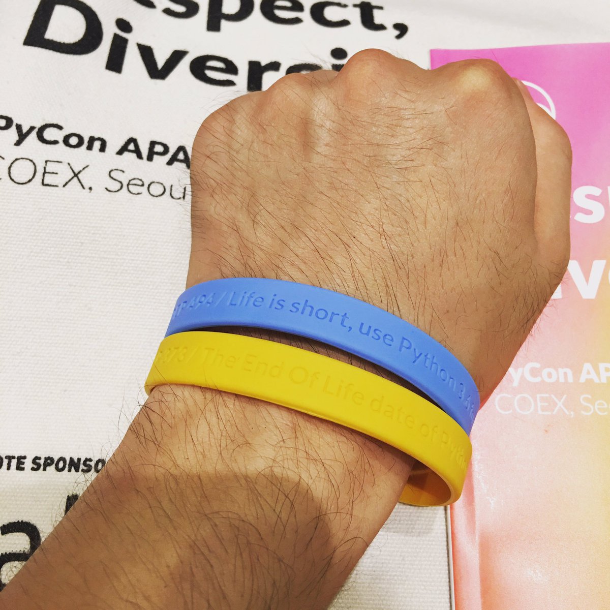 studioego's tweet photo. The End Of Life date of Python 2.7 is 2020.
Life is short, use Python 3.6 for the future.
#python #pyconapac2016 https://t.co/XMBsOQFUFa