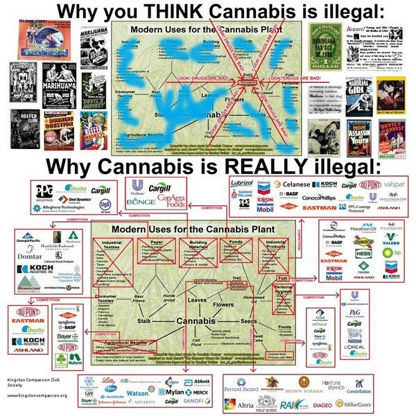 NurseMaryJInk's tweet photo. The truth about the illegality of Cannabis  #endprohibition #legalizemedicine https://t.co/tVv7juM1hE