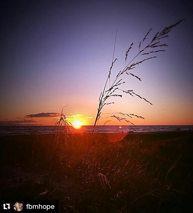 SaubleBeachLife's tweet photo. Great sunset by @fbmhope enjoying the #saublebeachlife
・・・
Stand tall #august #summer #can… https://t.co/Fei8RMC14G https://t.co/A7BxfrrY0Q