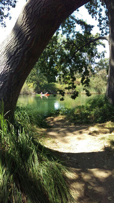 WineWonkette's tweet image. We had a lovely walk this morning at Lake Lodi Park. #WBC16 #goingrogue